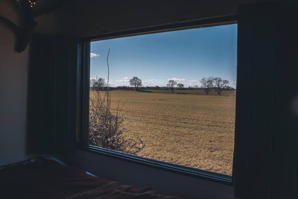 Villa 'Pipistrelle' Remote Off-Grid Micro Cabin Sedgefield Exterior foto