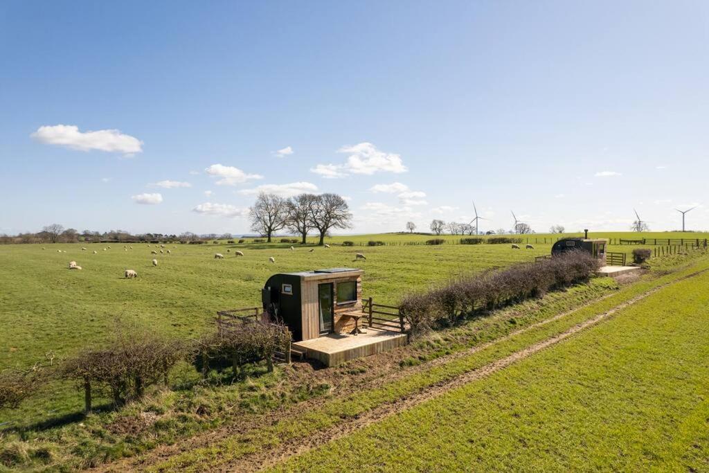 Villa 'Pipistrelle' Remote Off-Grid Micro Cabin Sedgefield Exterior foto